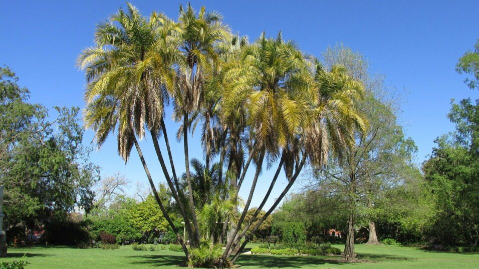 Botanischer Garten